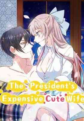The Presidents Expensive, Cute Wife