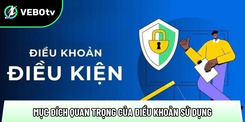 cac muc dich quan trong cua dieu khoan su dung tai trang xem truc tiep bong da
